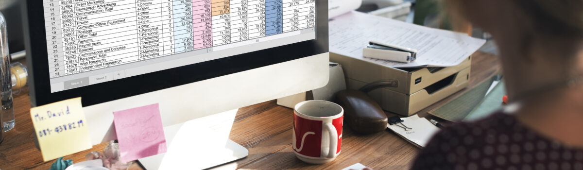 účetní hledí do počítače