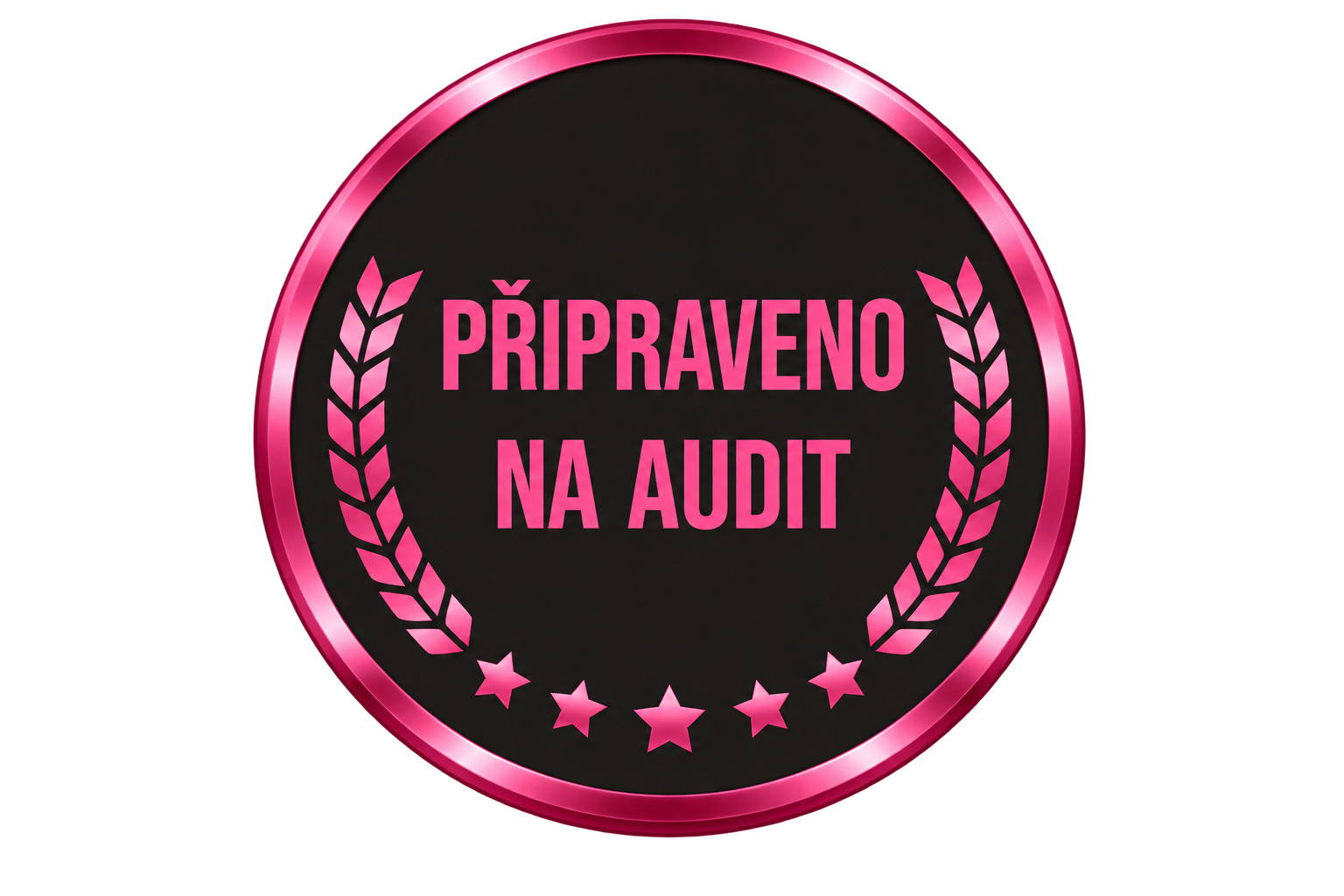 PŘIPRAVENO NA AUDIT