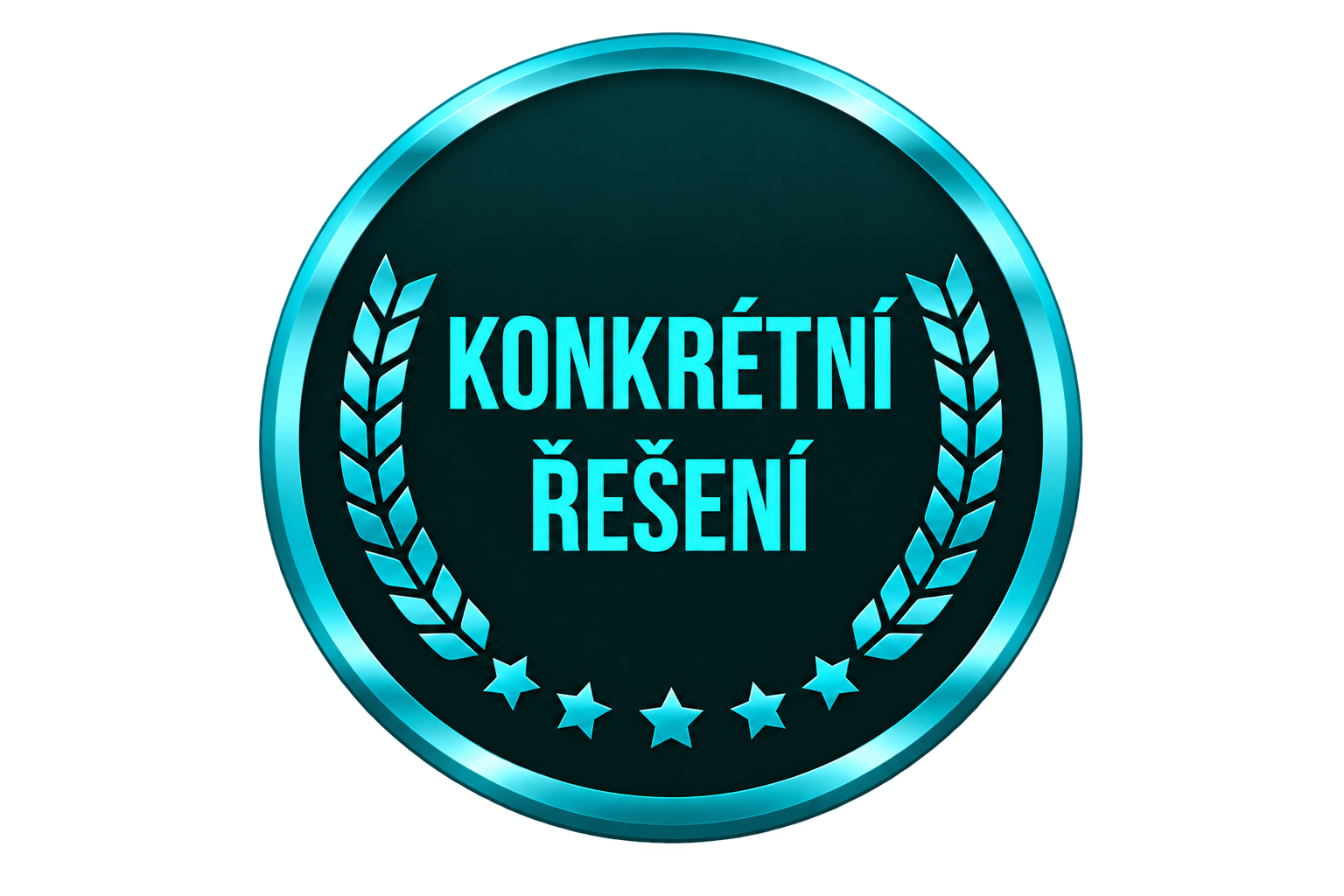 KONKRÉTNÍ ŘEŠENÍ