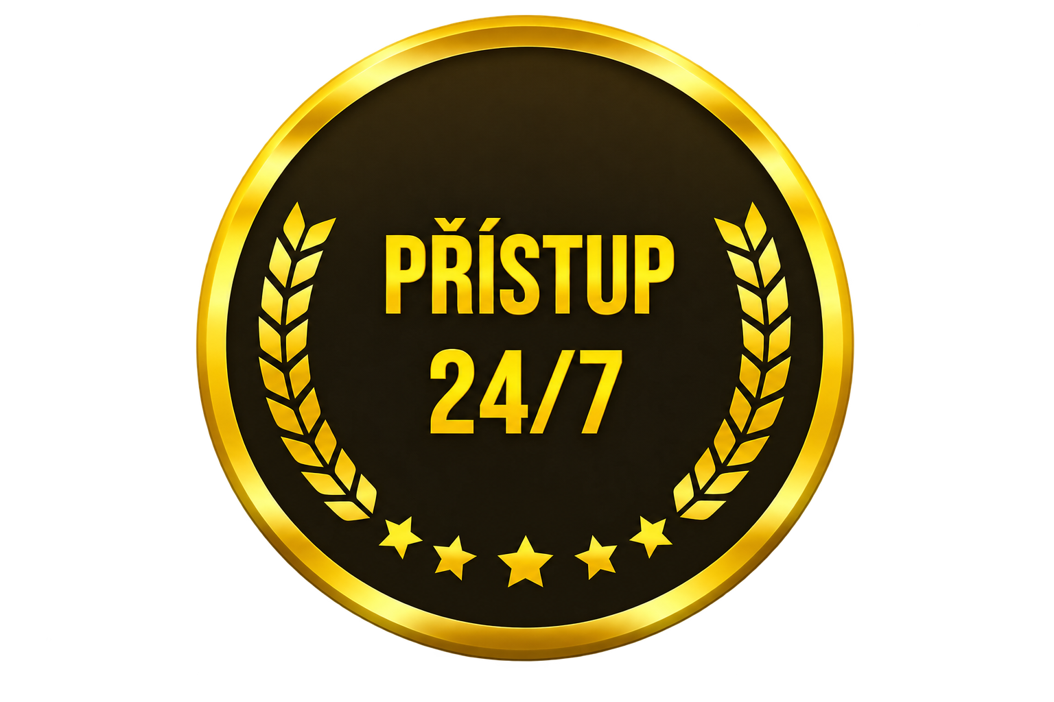 PŘÍSTUP 24/7